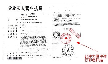 黄埔网站建设 营业执照范本